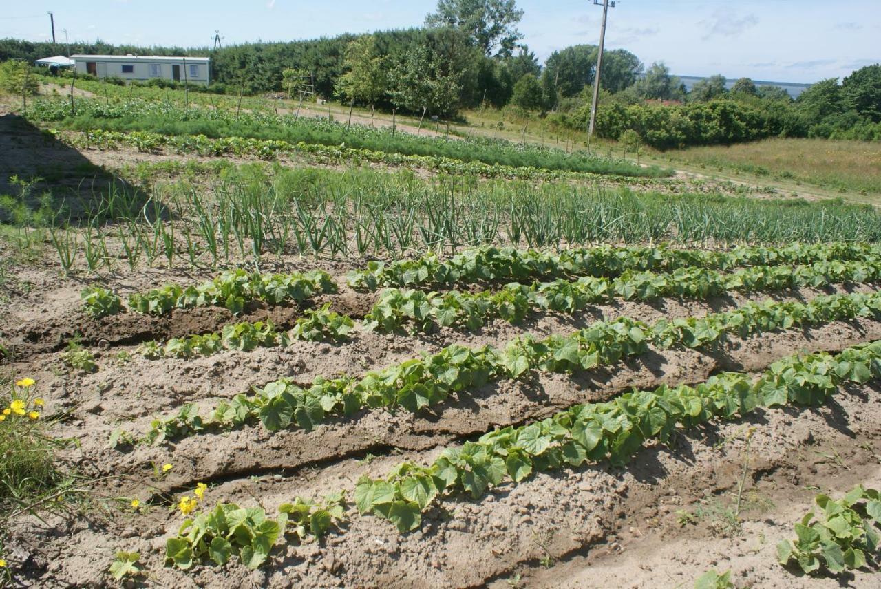 Agrodomki Okej -Dom Kasjan Gardna Wielka 外观 照片