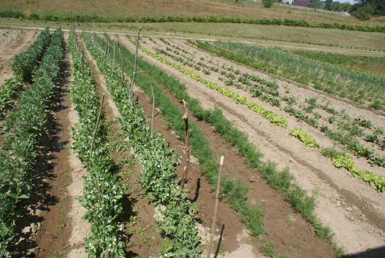 Agrodomki Okej -Dom Kasjan Gardna Wielka 外观 照片